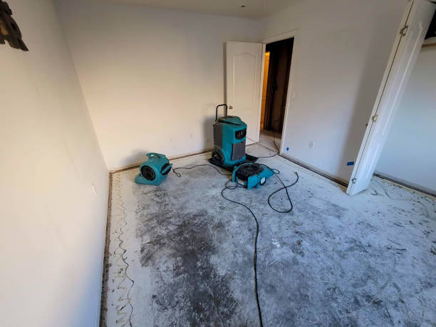 Best Residential water damage restoration  in Pocola, OK
