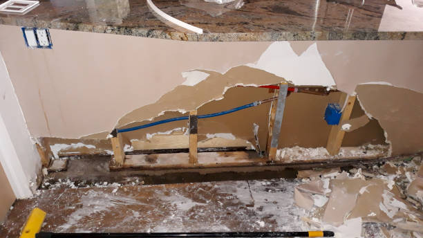 Best Flood damage cleanup  in Pocola, OK